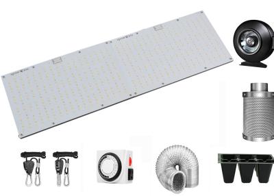 China 240W Led Light Bar For Plants for sale