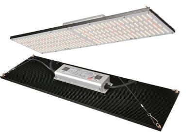 China Daylight 240W 730nm Led Grow Light Board for sale