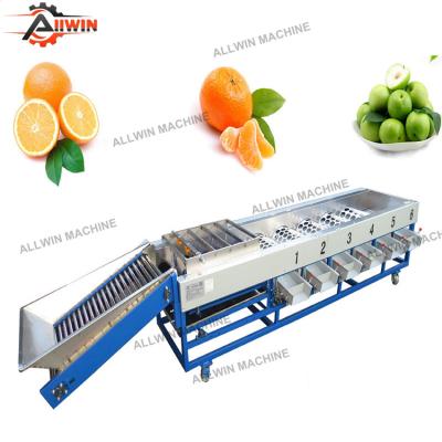 China High efficiency easy operate high quality grader apple//lemon/orange/potato/fruit and vegetable sorter on sale for sale