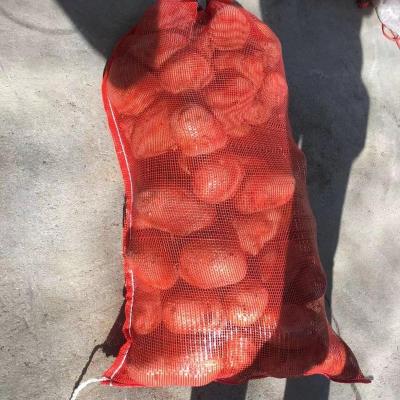 China 25kg PP Mesh Bag Vegetables Packing Onion Potatoes Garlic Packing Bags Te koop