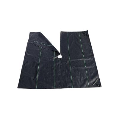 China PP Agriculture Fabric Nonwoven Fabric Fruit Protection Bag UV for sale