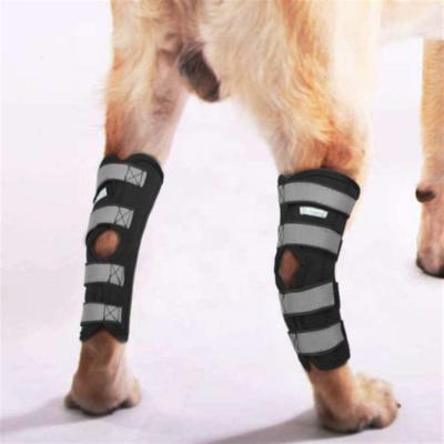 China Breathable Lights Dog Knee Support Brace Knee Pads For Hock Joint Wrap Injury Recover Neoprene Legs Dog Protector Support for sale