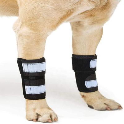 China Breathable Lights Factory Price Dog Knee Support Brace Knee Pads For Hock Joint Wrap Injury Recover Neoprene Legs Dog Protector Support for sale