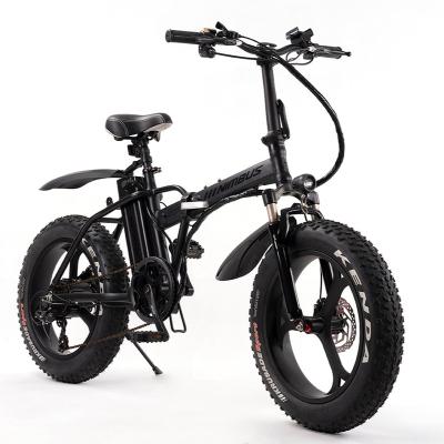 China Expedition Ready Electric Bike 20 Inch Power Sight 250W Snow Electric Mountain Bike Fat Battery Hard Tire for sale