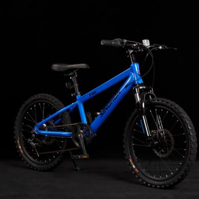 China 2021 New Product Adult MTB Moutain Mountain High End Disc Brake 20 Inch Fat Tire Mountain Bikes With Yellow Black And Blue Color for sale