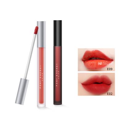 China Private Label Waterproof Custom New Arrival Long Wearing High Shine Lip Gloss For Girls for sale