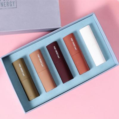 China High Quality Vegan Wholesale Waterproof 5 Colors Waterproof Cosmetic Lipstick Kit Matte Private Label For Women for sale