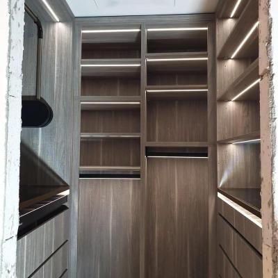 China New LED Light Bedroom Modern Furniture Closet Glass Open Doors Walk In Wardrobe Design for sale