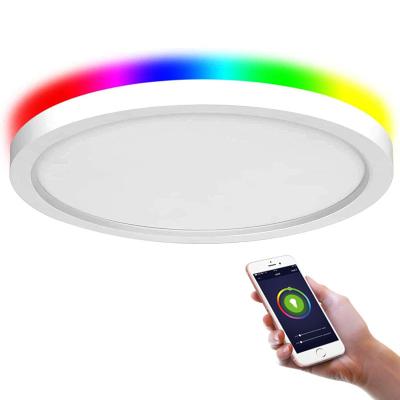 China Tuya modern lighting 6w 12w 18w 24w smart wifi rgbw ceiling light 6w 12w 18w 24w app voice control dimmable adjustable round mount smart led panel light for sale