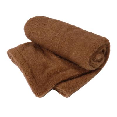 China New Product Travel Pet Mat Thicken Autumn and Winter Warm Cat Sleeping Mat Dog Sheep Fleece Pet Blanket for sale