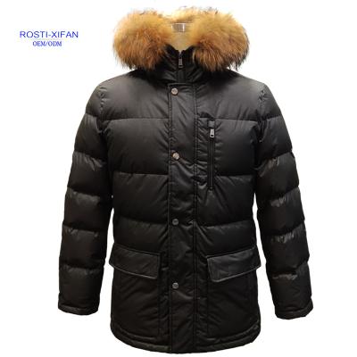 China Sustainable Warm Men's Duck Down Long Padded Winter Jacket with Removable Natural Raccoon Fur on Hood Edge for sale