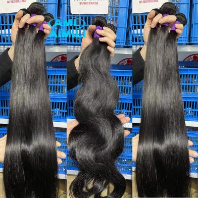 China 100% Virgin Brazilian Hair Wholesale Raw Mink Hair Cuticle Aligned Human Hair Weave Wholesale Raw Mink Brazilian Virgin Hair Bundle for sale