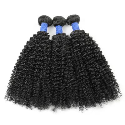 China 100% Virgin Hair Bulk Bundles 100% Virgin Hair AMLHAIR Raw Unprocessed Virgin Hair Wholesale Vendors Natural Natural Indian Raw Hair Deep Curly for sale