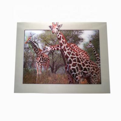 China Custom Europe Offset Printing Plastic 3d 5d Lenticular Image for sale