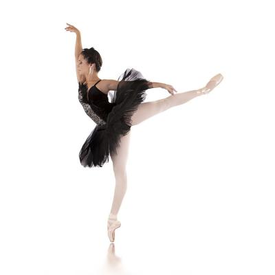 China New Hot Eco-friendly Classical Tutu Ballet Practice Tutu Ballet Tutu Professional Performance for sale