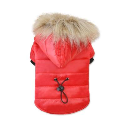 China Viable Wholesale Stocked Custom Eco Friendly Comfortable Warm Fancy Cotton Passionate Dog Coat for sale