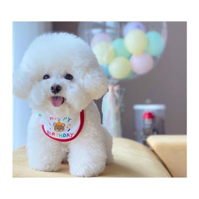 China Bichon Teddy Hiromi Viable Bichon Teddy Hiromi Pet Logo Print Bandana Happy Birthday Pet Bandana Hot-selling Custom Bib for sale