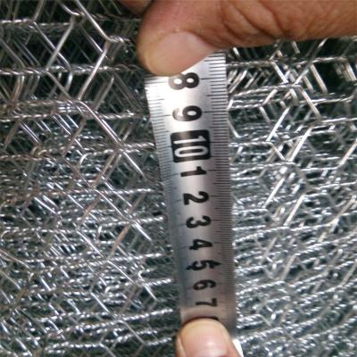 China Barrier Mesh Small Hole Lowest Price Wire Mesh Cage Chicken Wire Mesh 0.8 Wire Diameter for sale