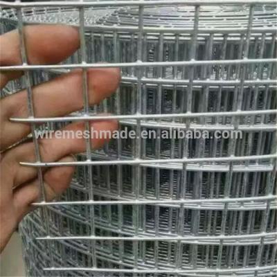 China Corrosion Resistance China Mesh Supplier Stainless Steel Galvanized Welded Wire Mesh For Bird Rabbit Little Dog Cages for sale