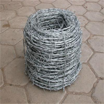 China Traditional High Quality Chinese Suppliers Wire Thorn Rope Wire Barbed Wire Barbed Mesh for sale