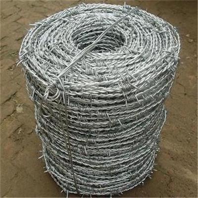 China Sharp point with Beasutiful barbed type of fence for sale