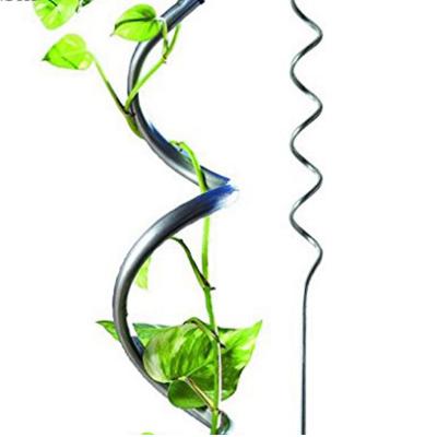 China EG Growing Growing Steel Wire Shape Spiral Tomato Plant Support Helix Tomato Support for sale