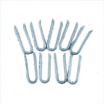 China Use with electro galvanized barbed wire U form nails used with barbed wire for sale