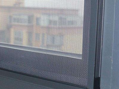 China SS304 SS316 Steel Window Screens Security Fly Screens For Windows for sale