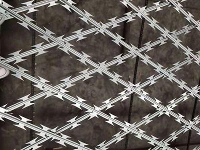 China DIN1.4301 Welded Wire Mesh AISI304 Razor Mesh Fence Customized for sale