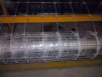 China Knife Proof Woven Screen Mesh 10x10 11x11 Metal Woven Wire Mesh for sale