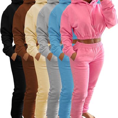 China Breathable Velor Tracksuit Women's Sweatsuit Sweatpants And Hoodie Two Piece Set for sale