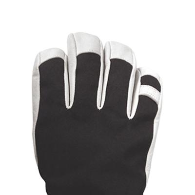 Cina Inverno caldo Ski Gloves Windproof Waterproof dell'isolamento di Polyfill in vendita