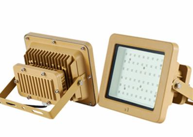 China Gold 50w Led Expolsion Proof Flood Light WF2 Zone 1 And 2 Flame Proof Lights for sale