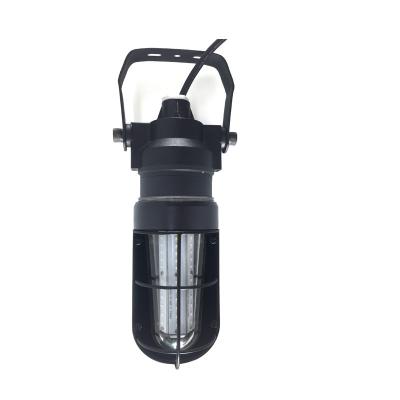 China Security 20w 30w Explosion Proof LED Light Fixture Handheld Inspection Work Light for sale