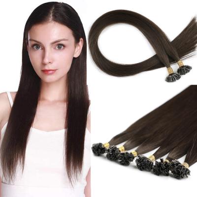 China natural & healthy & Soft Custom LeShine Keratin Link U Tip Hair Extensions Keratin Link U Tip Hair Dark Brown 22