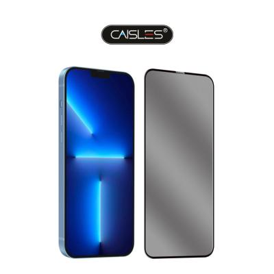 China OEM Original Caisles High Quality Explosion-proof Matte And Privacy Nano Film Protector for sale