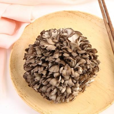 China Long Time 150g Fresh Fresh Mushroom Guarantee Maitake for sale