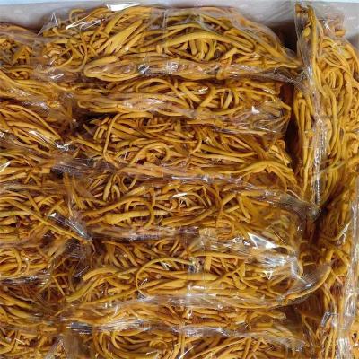 China China fresh traditional fungus cordyceps militaris fresh mushrooms for sale