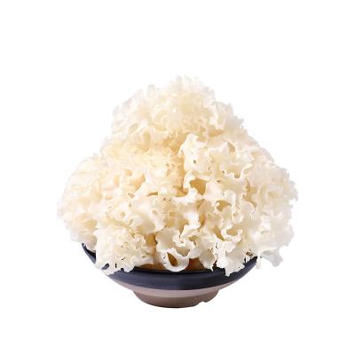 China China Wholesale Pure Organic Original Export Fresh Cultured Fresh Cauliflower Mushrooms for sale