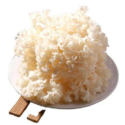 China Traditional Fresh Exotic Asian Mushroom Food Cauliflower Mushrooms for sale