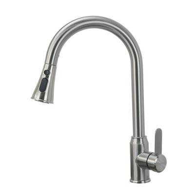 China Pull Out Spray 304 Stainless Steel Cold And Hot Kitchen Faucet To Pull Out Telescopic Faucet Lavatory Faucet for sale