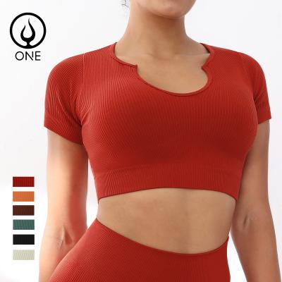 China Breathable Ribbed Short Sleeve V-Neck Yoga Workout Crop Tops Seamless Sexy Tops In Solid Colors for sale