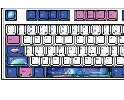 China PBT PBT Material Heat Sublimation Mechanical Keyboard Keycaps for sale