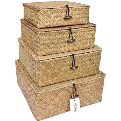 China Hot Sales Woven Storage Stocked Basket With Lid Sundries Vegetable Plankton Handmade Basket Case Decor for sale