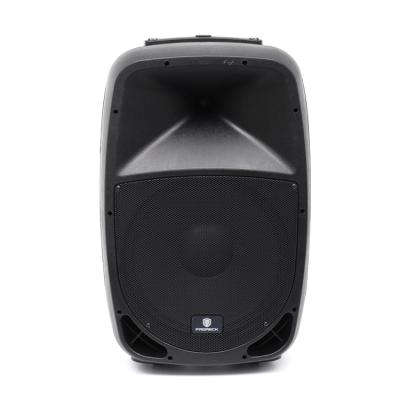 China No 15 Inch Subwoofer Professional Equalizer DJ Audio Portable Multifunction Speaker System for sale