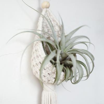 China Traditional Plant Holders Unique Air Cotton Hanging For Home Decor Handmade for sale