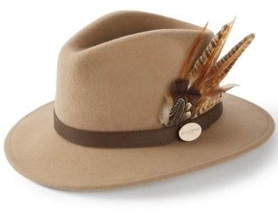 China Character New Arrival High Quality Wool Felt Fedora Feather Trim Hat For Women And Girls Wool Hat for sale