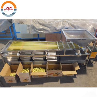 China Automatic Commercial Small Fruit Cherry Dimension Sorting Sorter Automatic Industrial Grader Grading Machine Cherries Cheap Price For Sale for sale