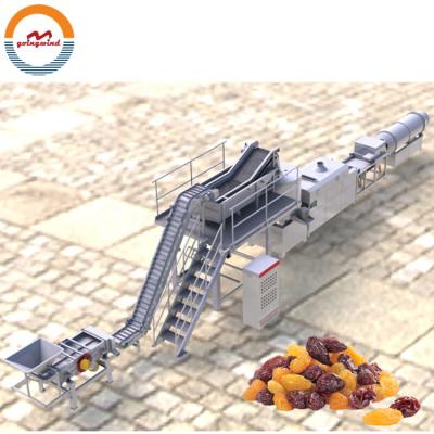 China Commercial Automatic Raisin Raisin Production Line Automatic Industrial Raisins Washing Drying Machine Washing Dehydrator Cheap Price For Sale for sale