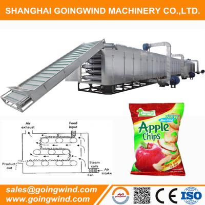 China Automatic Dry Apple Chips Production Line VF Automatic Apple Chip Processing Factory Equipment Cheap Price For Sale for sale